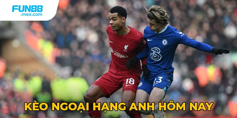 Bạn nên học chiến lược cược thông minh