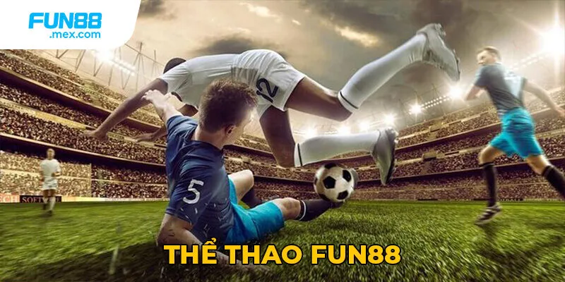 Ưu đãi hot cho bạn