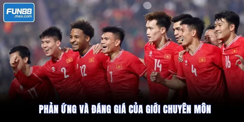 Phản ứng và đáng giá của giới chuyên môn