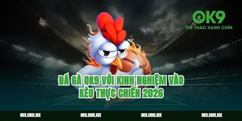 Đá Gà Ok9 với kinh nghiệm vào kèo thực chiến 2026